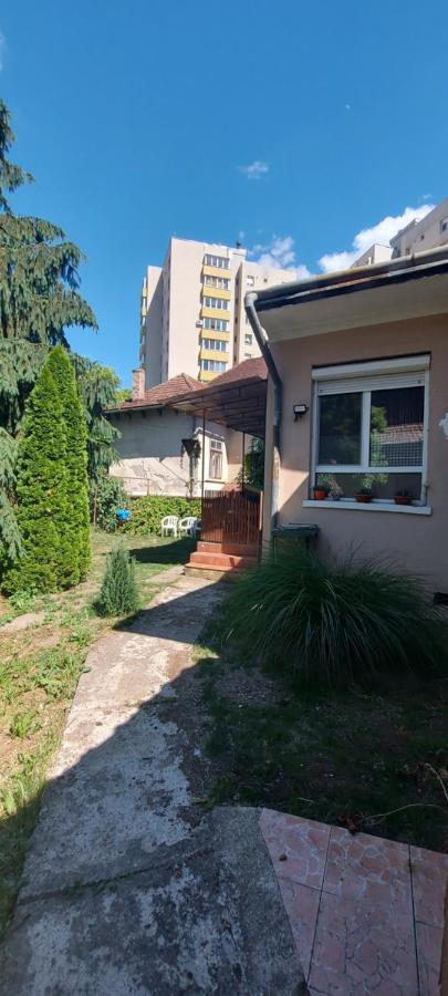 Garden Apartment Satu Mare Ngoại thất bức ảnh